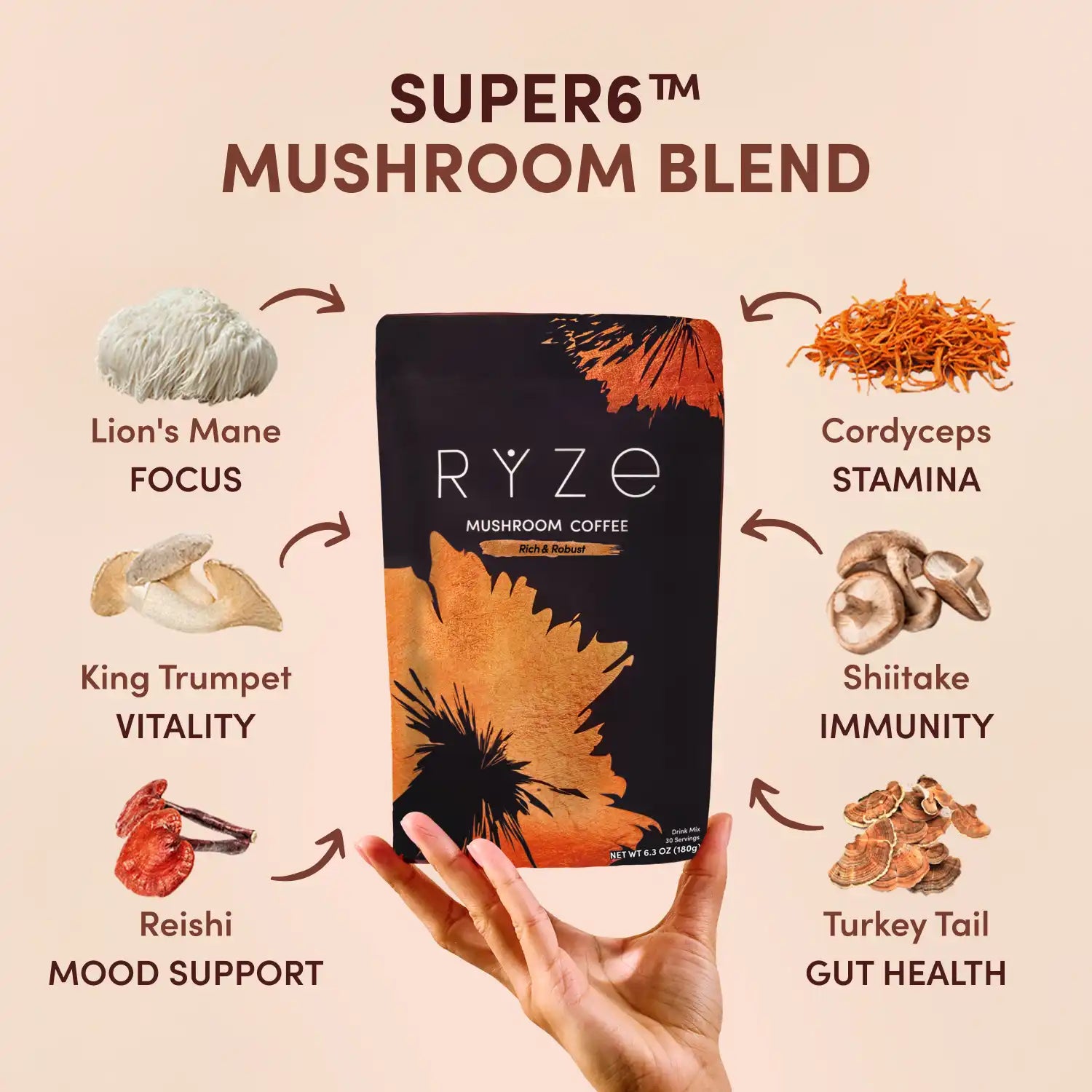 Dark Roast Starter Kit he