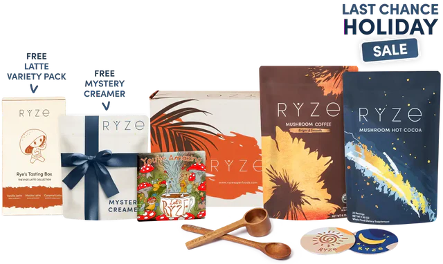 Day + Night Bundle fq