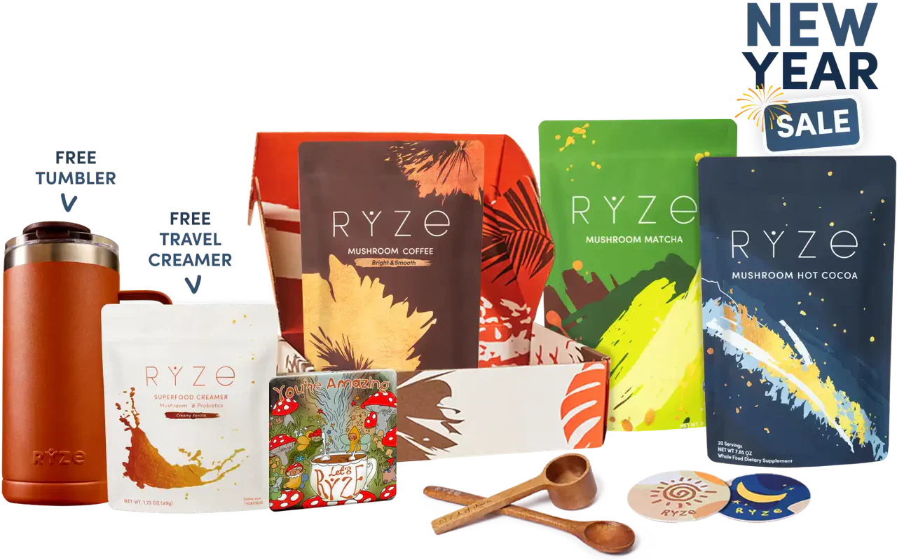 Day + Night Bundle dn