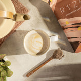 Mushroom Chicory zd