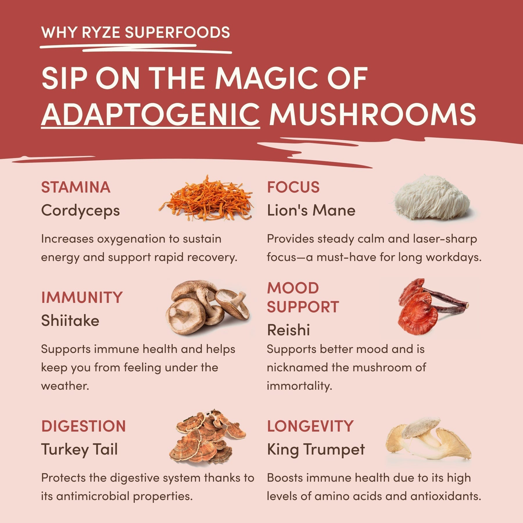 Mushroom Chai do