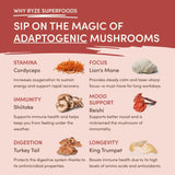 Mushroom Chai ba