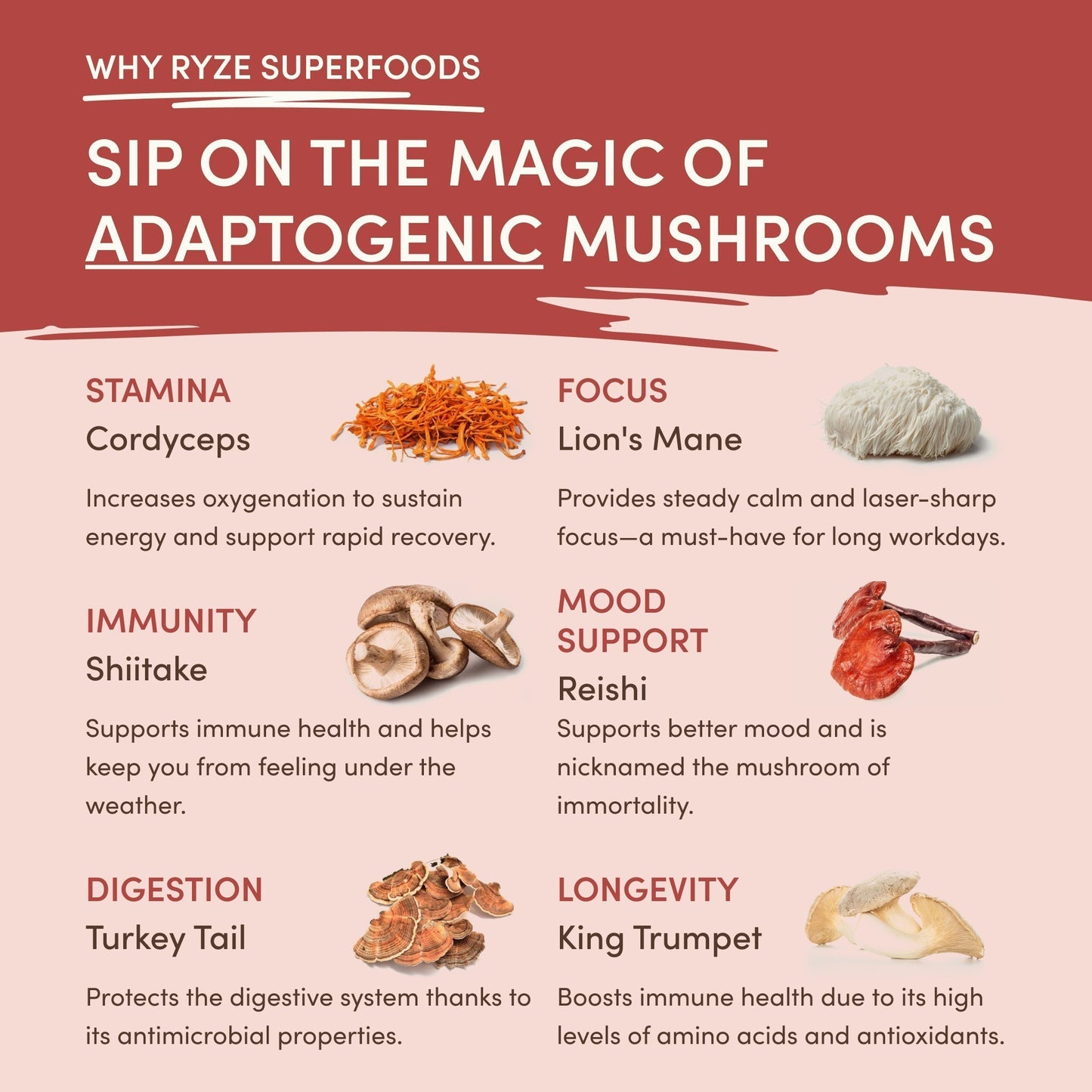 Mushroom Chai ba